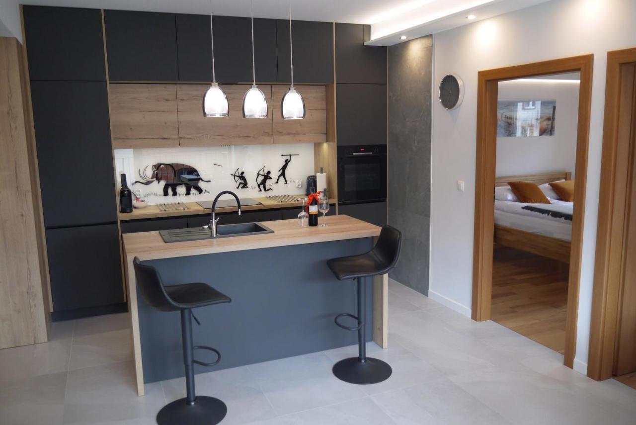Nowy Apartament Zygmunta Premium Gliwice Exterior foto